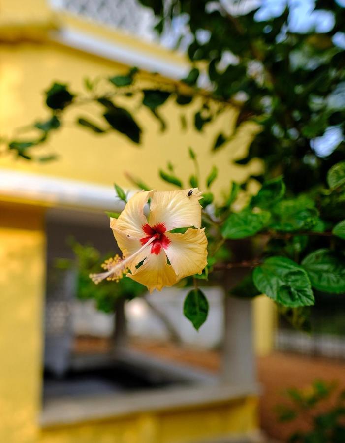 Parul - Elegant Heritage Home At The Heart Of Shantiniketan Εξωτερικό φωτογραφία